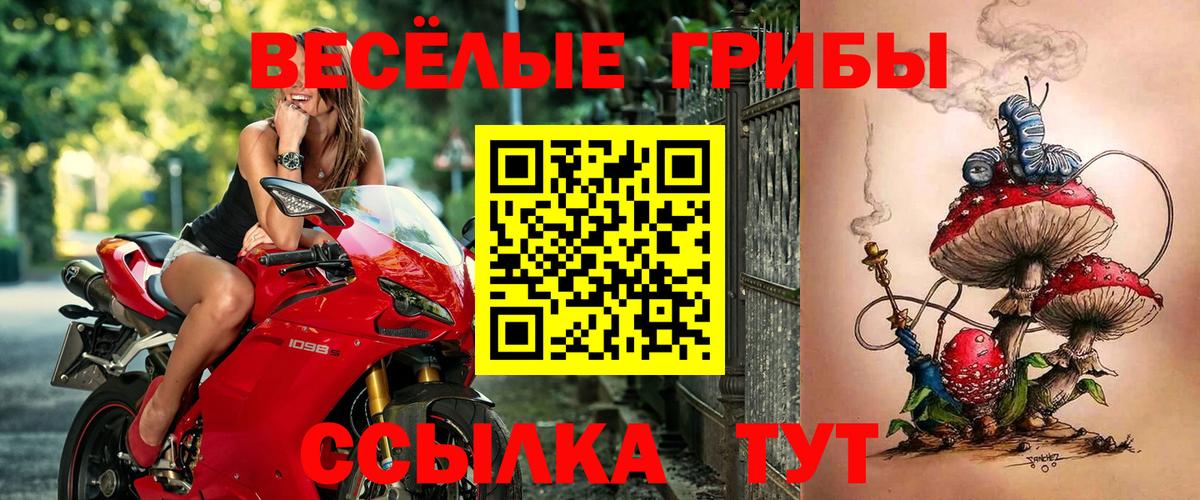 Псилоцибиновые грибы мухоморы Красноармейск